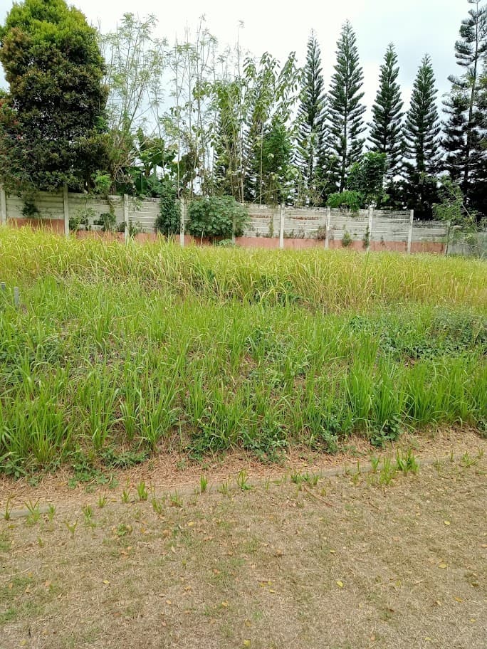 LOT FOR SALE AT SARATOGA HILLS TAGAYTAY HIGHLANDS - Image 5 of 5