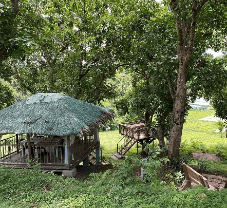 INCOME-GENERATING 1.4+ HECTARE COMMERCIAL–AGRICULTURAL ESTATE | TURNKEY OPERATIONS - Image 5 of 5